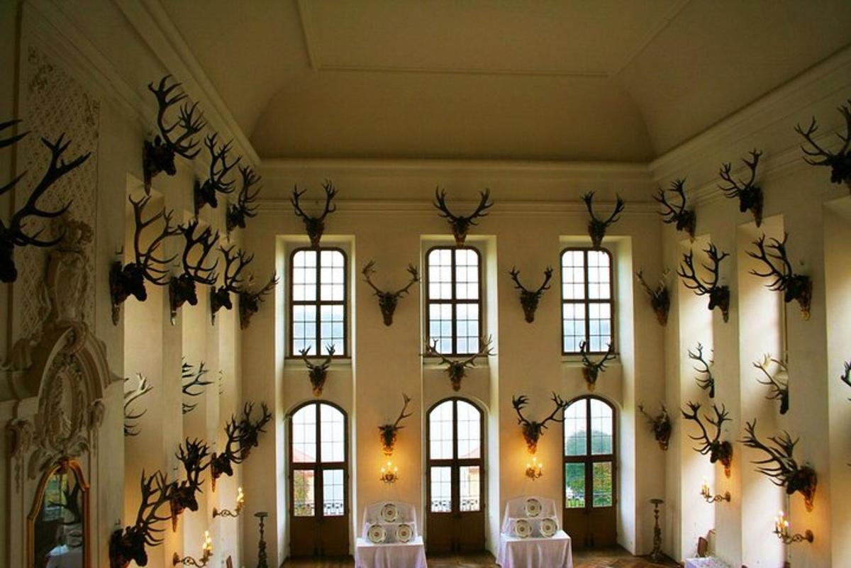 uma sala com um monte de chifres na parede