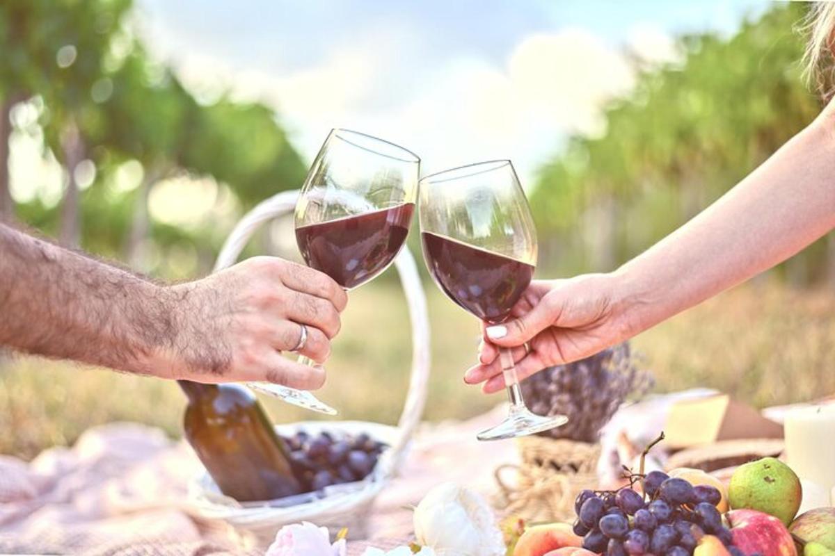 due persone che tengono in mano bicchieri di vino durante un picnic