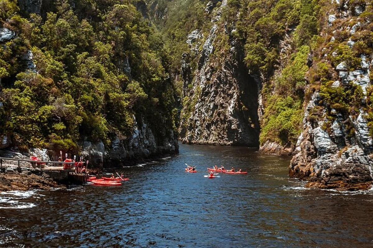 a group of people rafting down a river in a canyon