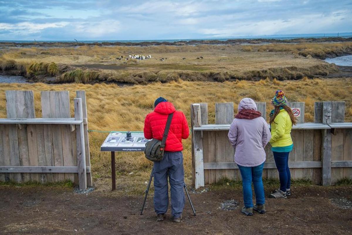 a group of three people looking over a fence
