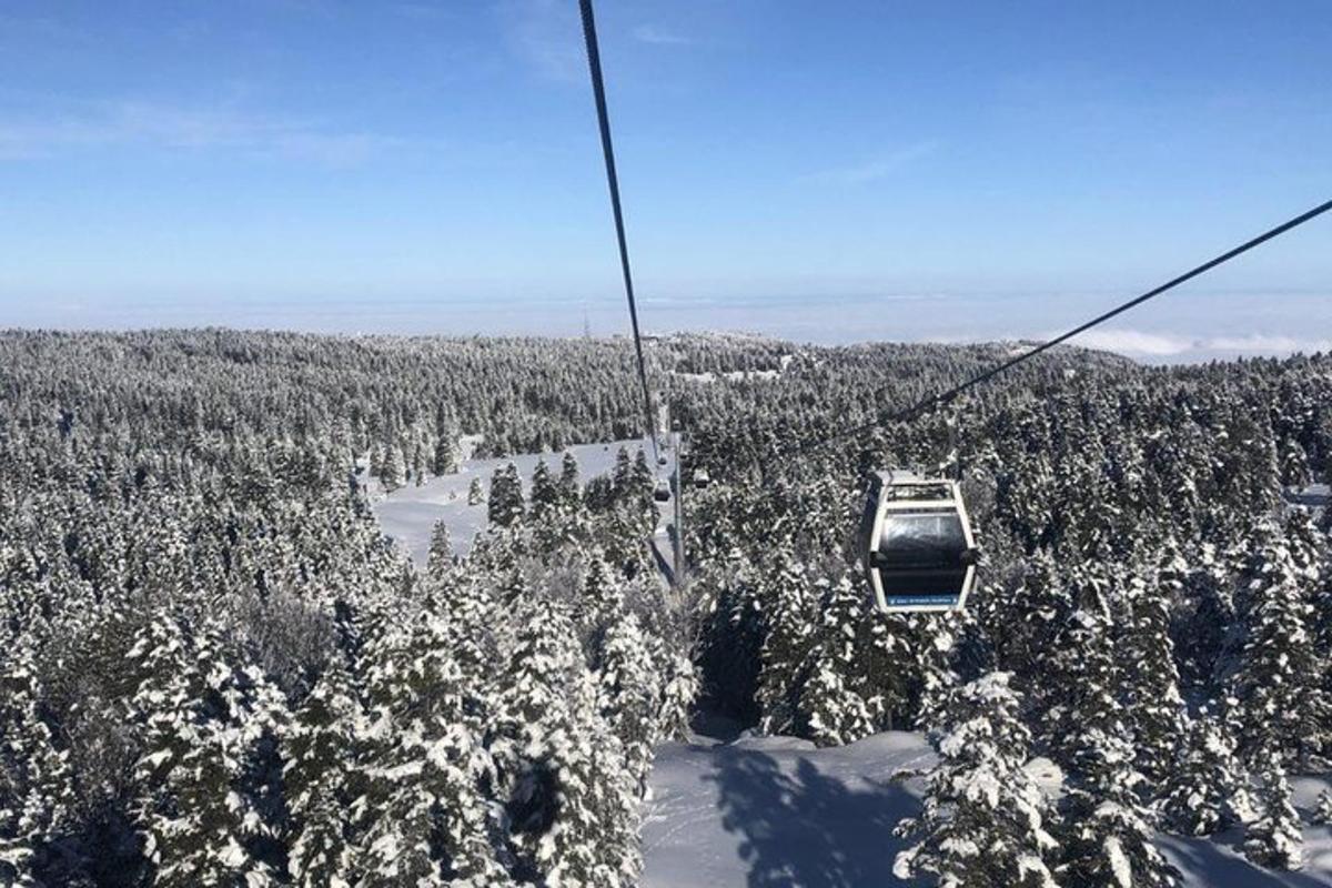 Un telesquí sobrevolando un bosque cubierto de nieve