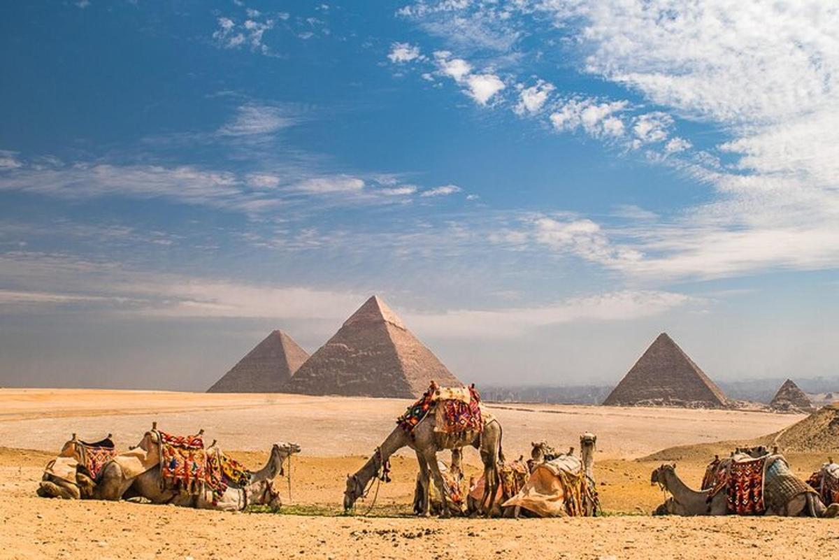 skupina tiav pred pyramídami