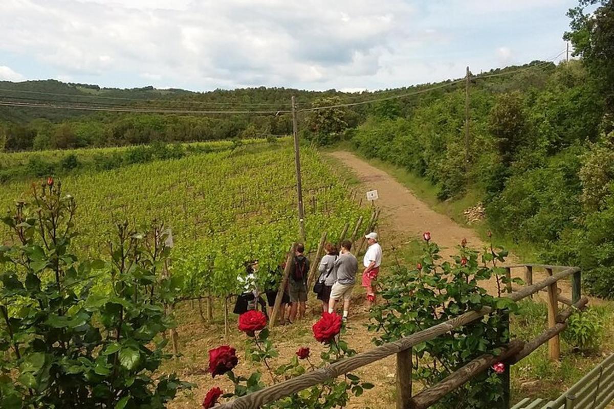 un grupo de personas caminando por un camino de tierra