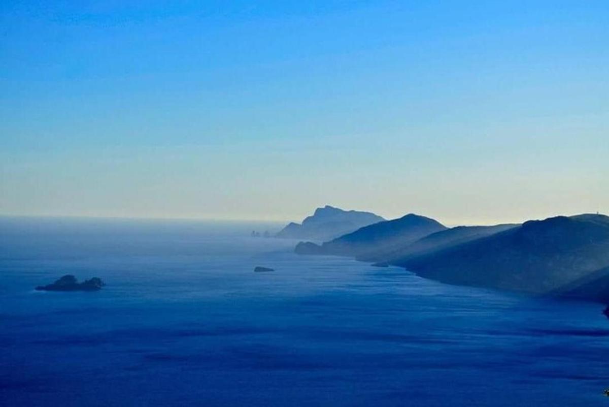 ein Blick auf ein nebliges Feld mit Bergen im Hintergrund