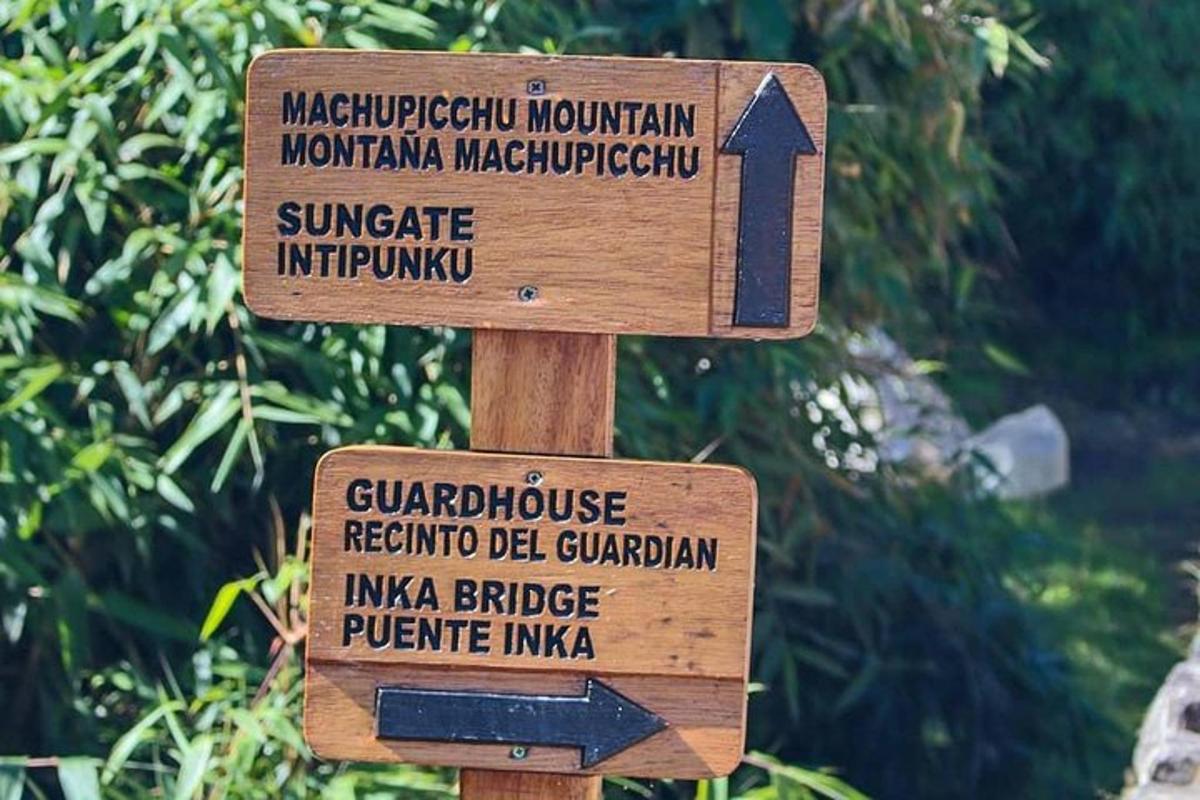 un panneau en bois pour l'entrée d'une jungle