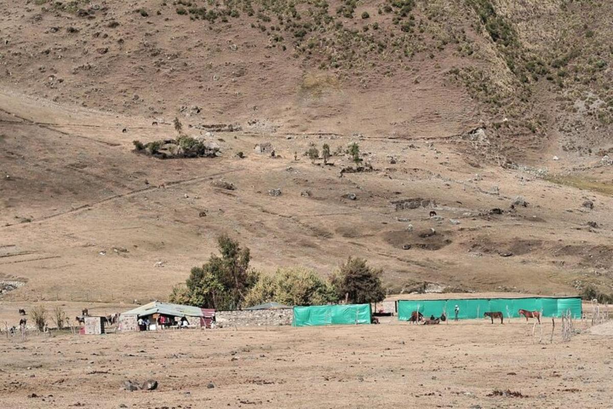 un gruppo di edifici in un campo con una montagna