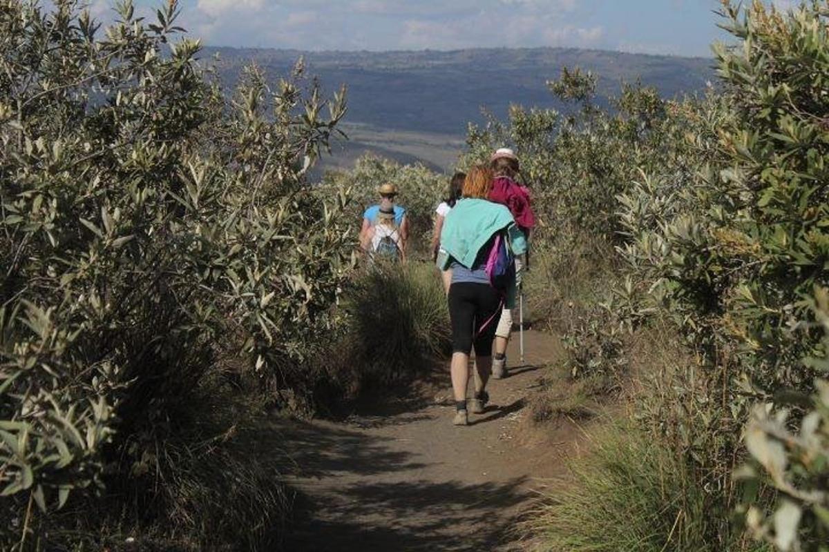 un gruppo di persone che camminano lungo un sentiero sterrato