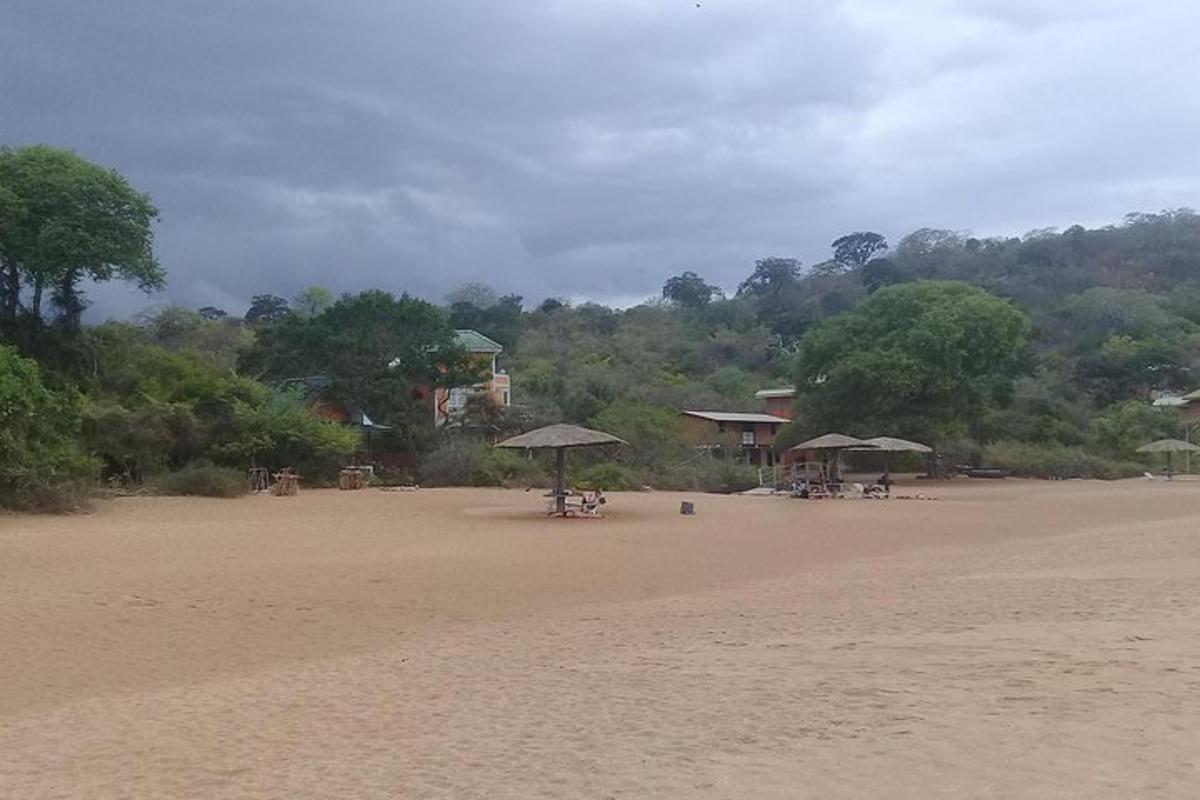 una spiaggia con sedie e ombrelloni sulla sabbia