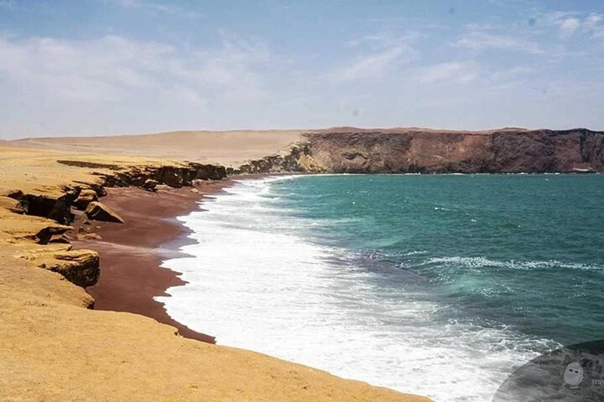 a beach with the ocean and a rocky coastline