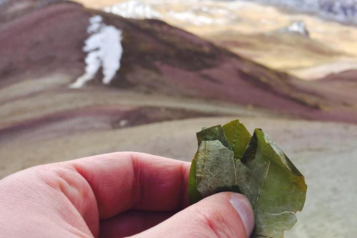 una mano che tiene una foglia verde di fronte a una montagna