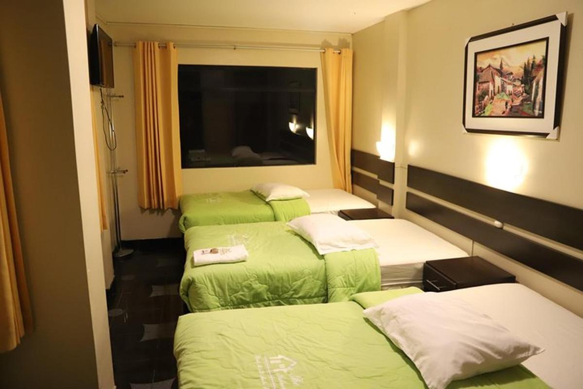 緑と白の部屋に4つのベッド