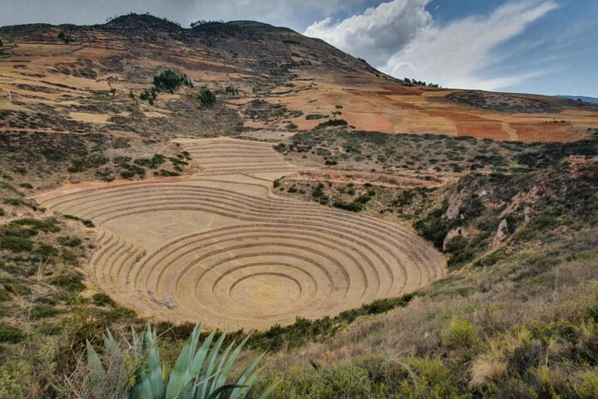 ladang pertanian di atas bukit di gurun