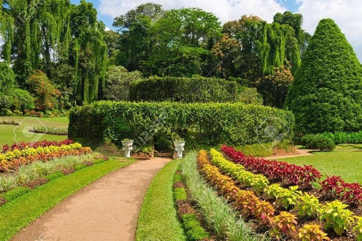 um jardim com flores e árvores coloridas e um caminho