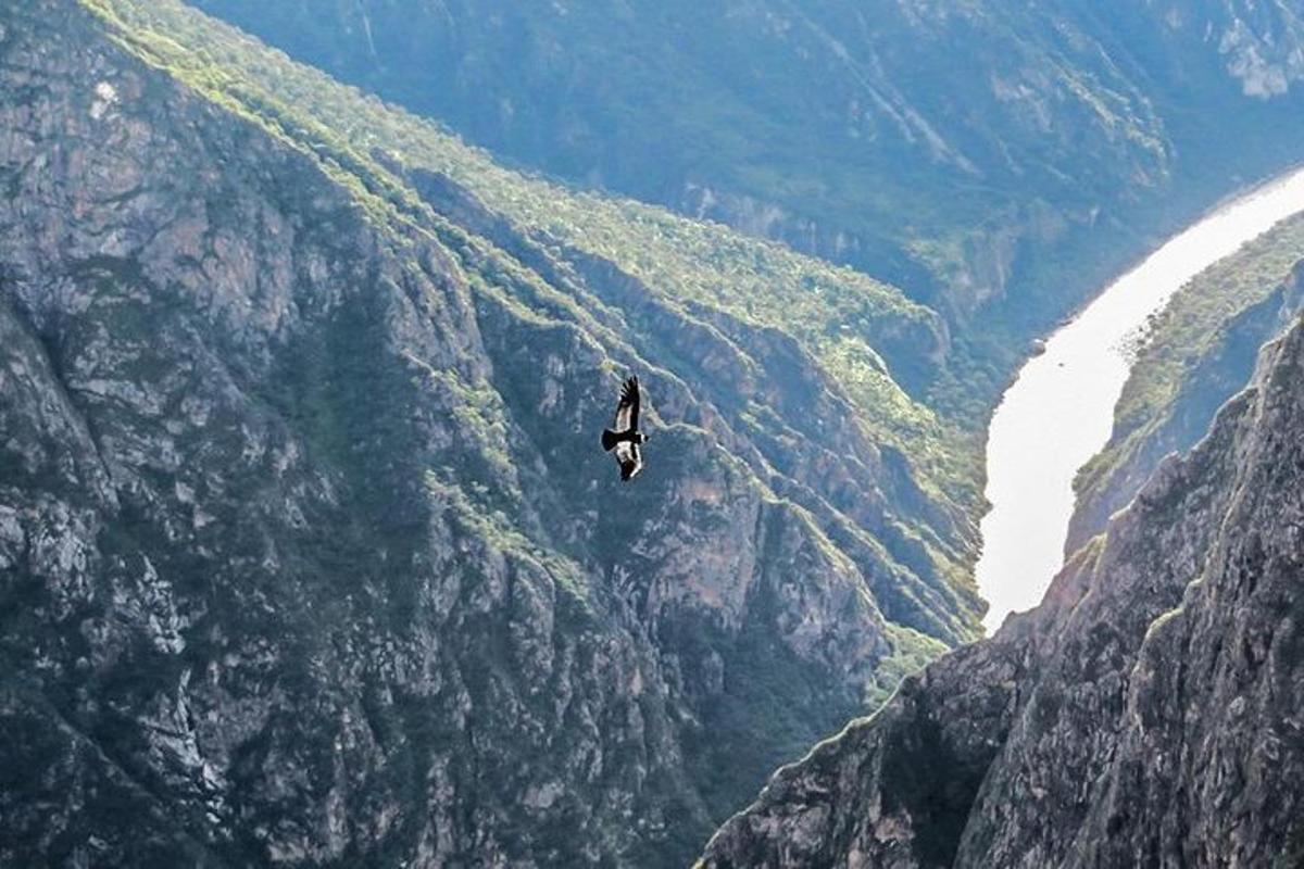 en person som flyr i luften over en canyon