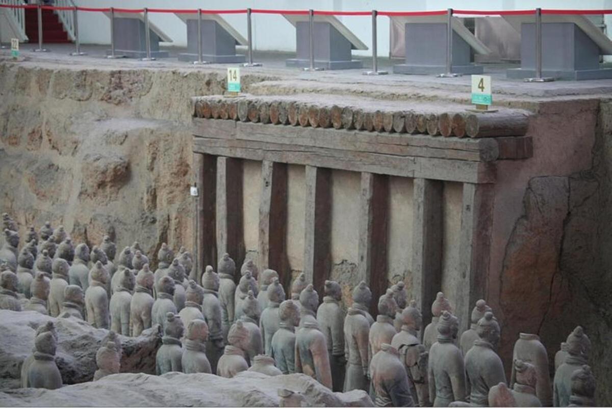 a flock of pigeons standing next to a wall
