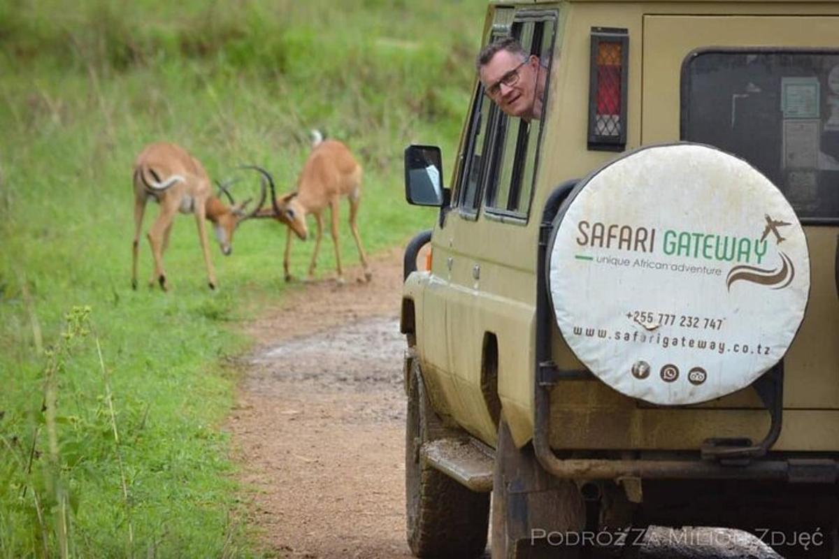 muž dívající se z okna safari vozidla s jeleny v pozadí