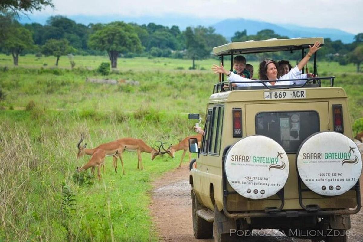 skupina lidí jedoucích v zadní části safari vozidla