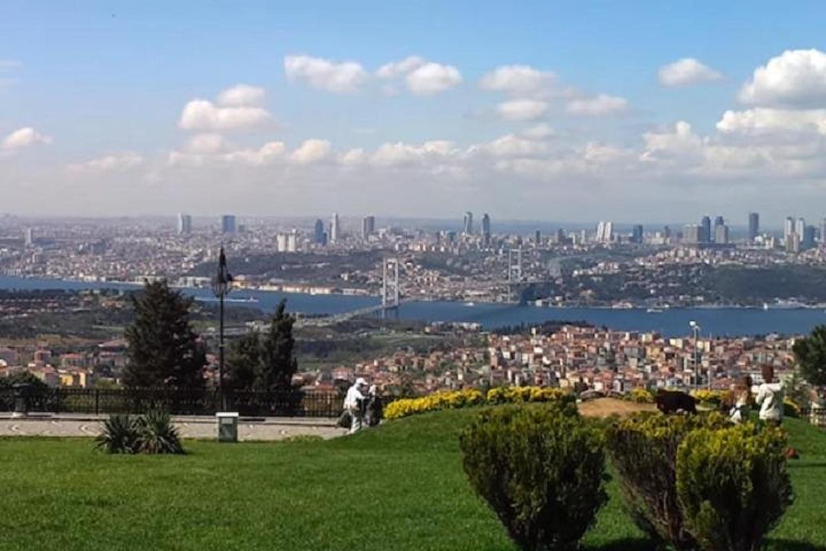 una vista d'una ciutat des d'un parc amb gespa verda