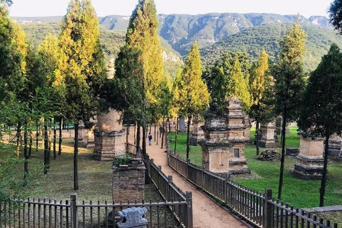pemandangan taman dengan pokok dan pagar