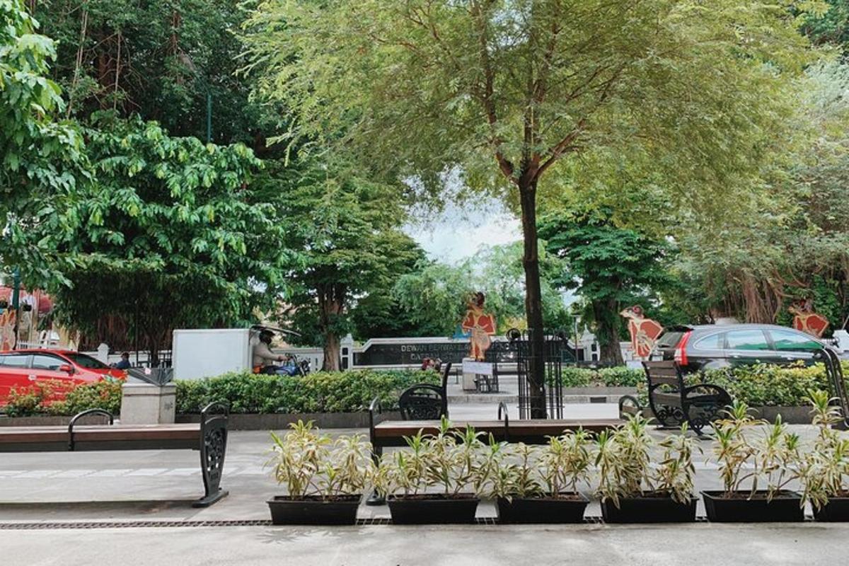 taman dengan bangku dan tumbuh-tumbuhan dan pokok dan kereta