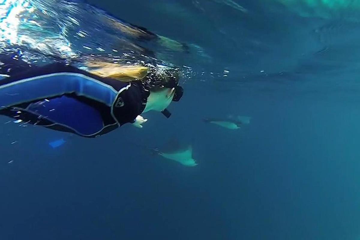 a person in a wetsuit swimming in the water