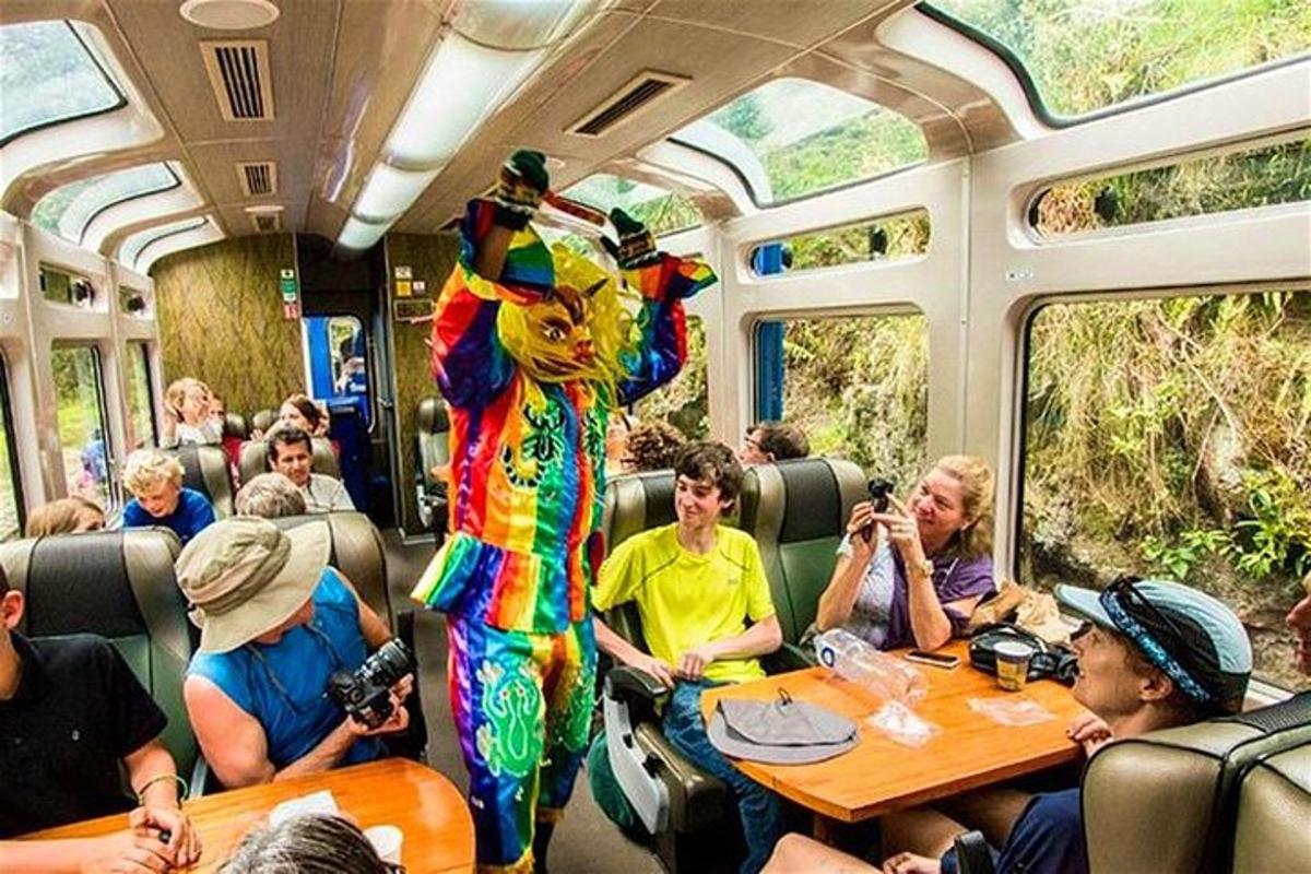 o persoană costumată stând într-un tren