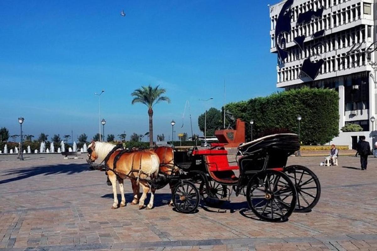 due cavalli che trainano una carrozza su una strada