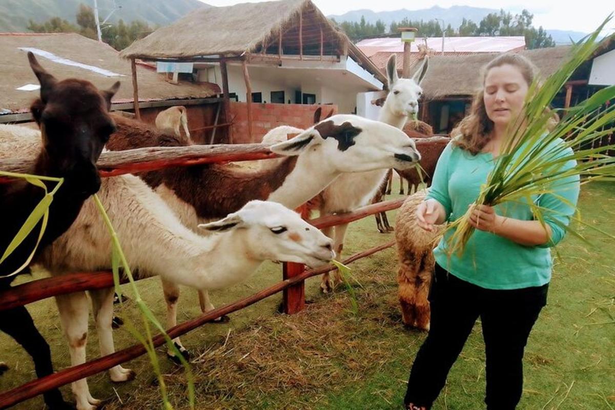 a woman standing in front of a herd of goats