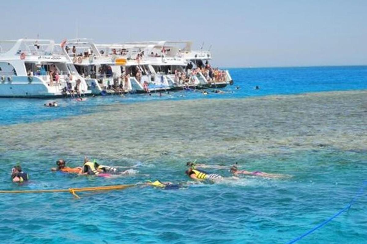Un grupo de personas nadando en el agua cerca de un barco.