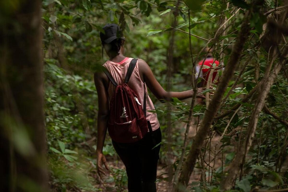 una dona caminant per un sender al bosc