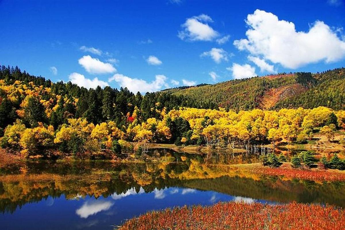a lake in the middle of a forest with fall trees