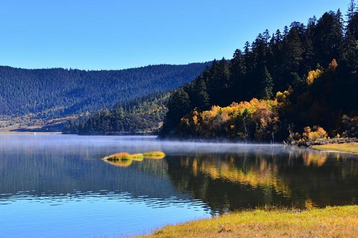 a misty lake with trees on the side of it