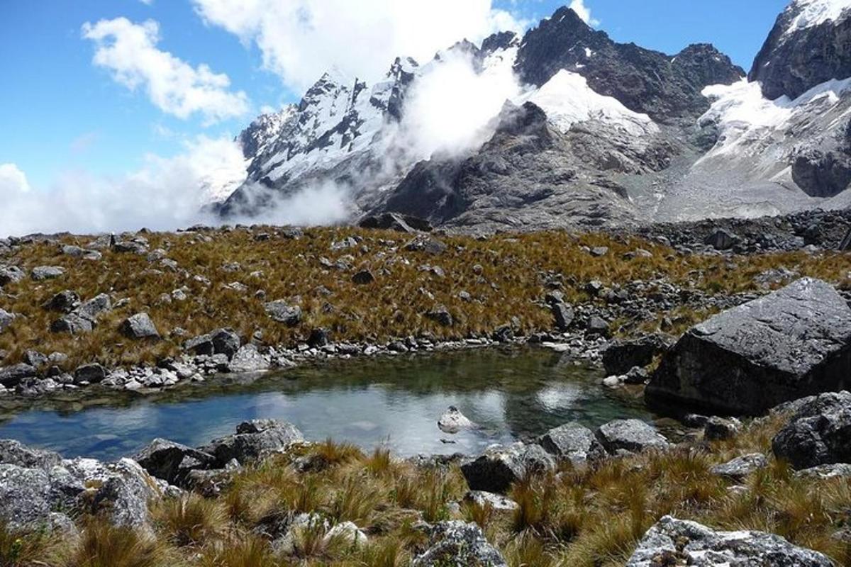 un'anatra che nuota in uno stagno di fronte a una montagna