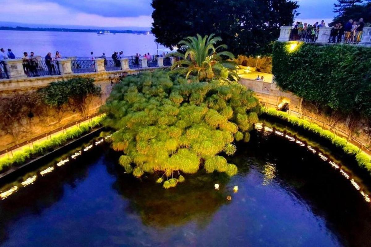 an aerial view of a pool of water with trees