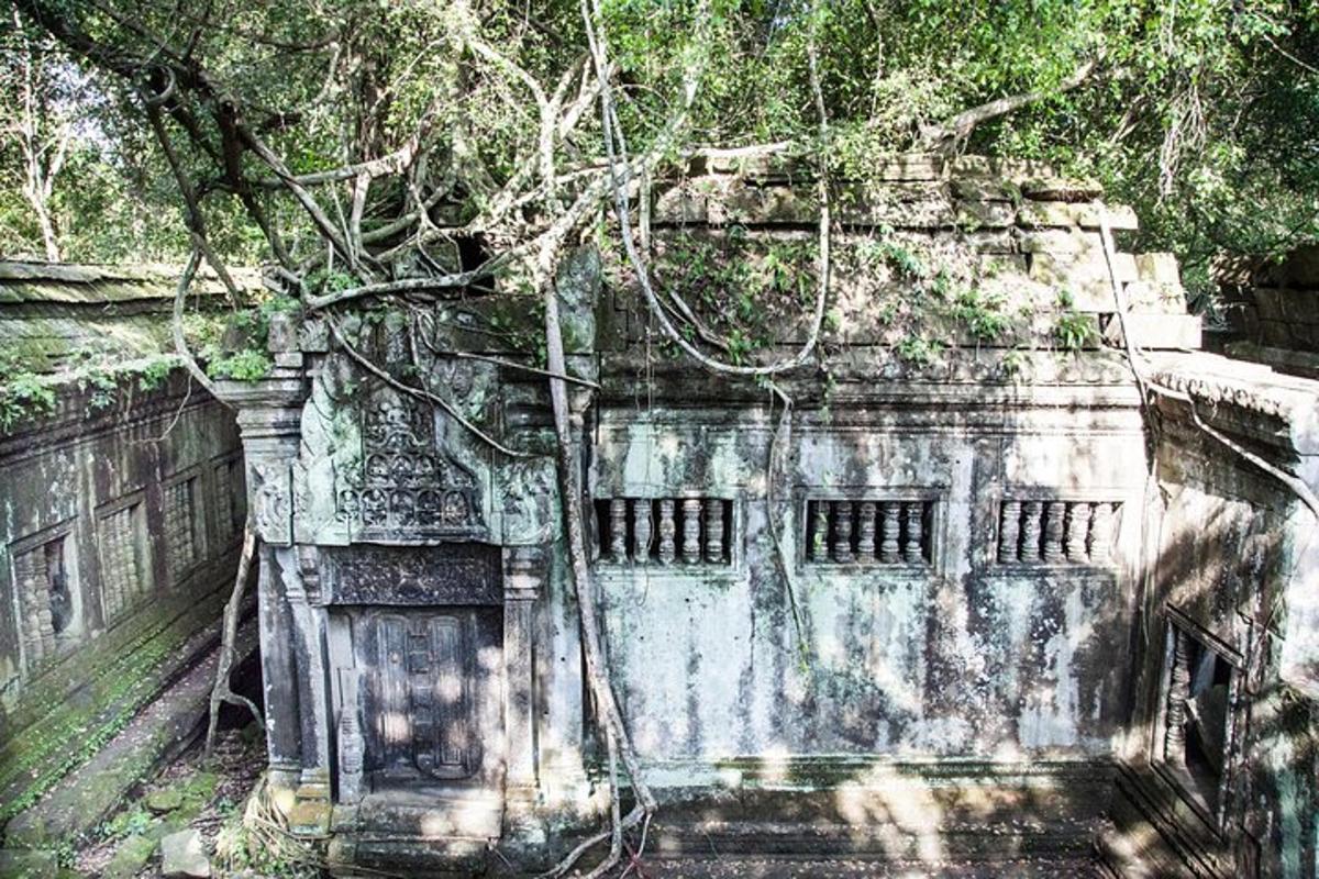an old building with a tree growing on top of it