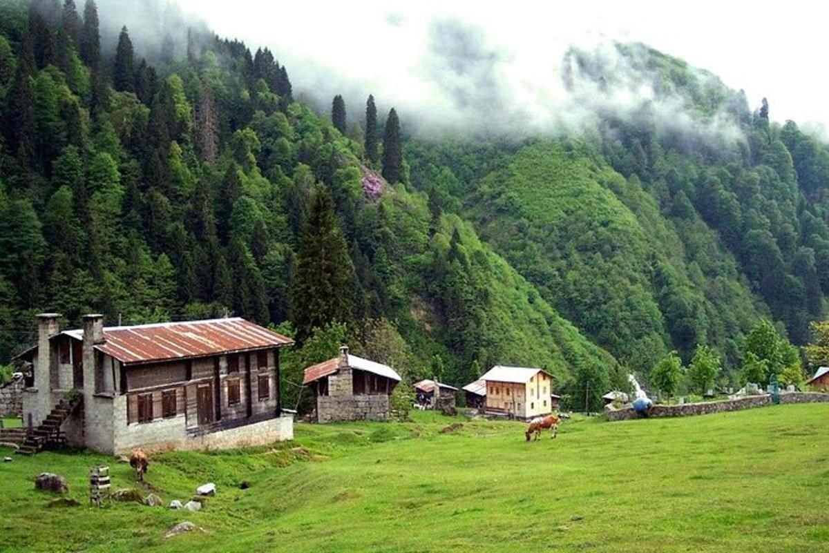 a house in a field in front of a mountain