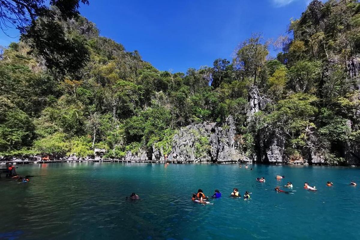 a group of people swimming in the water in a river