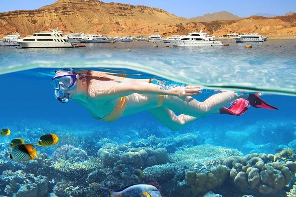 kona syndir í sjónum með fiskum