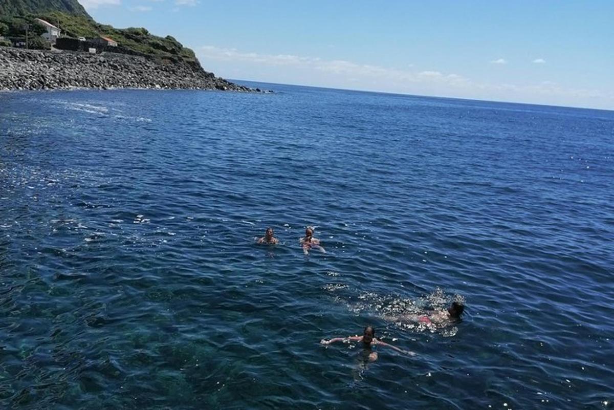 skupina lidí plavajících ve vodě