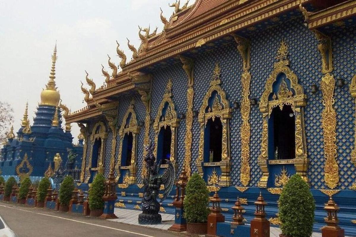 a blue and gold building with plants in front of it