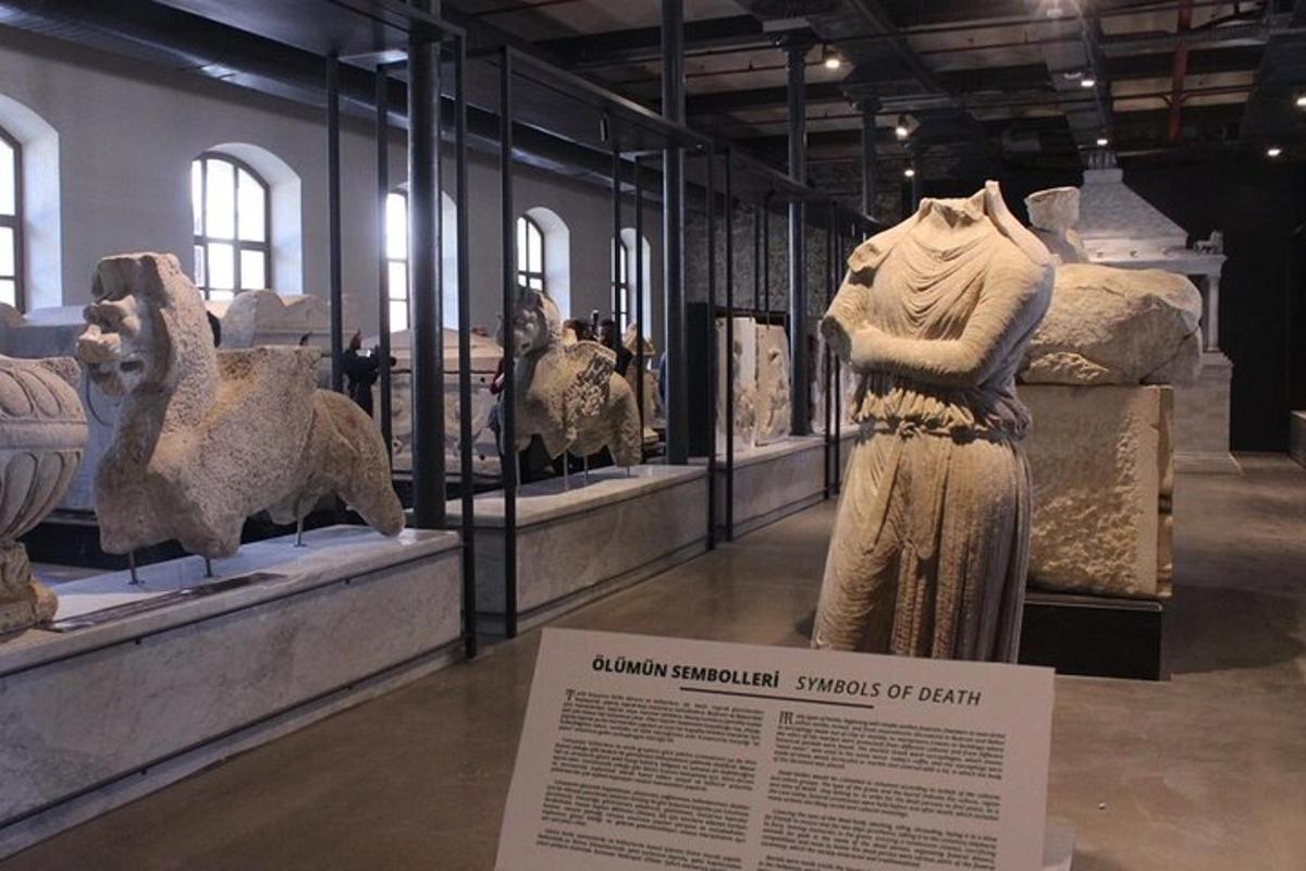 muzeum s expozicí artefaktů v místnosti