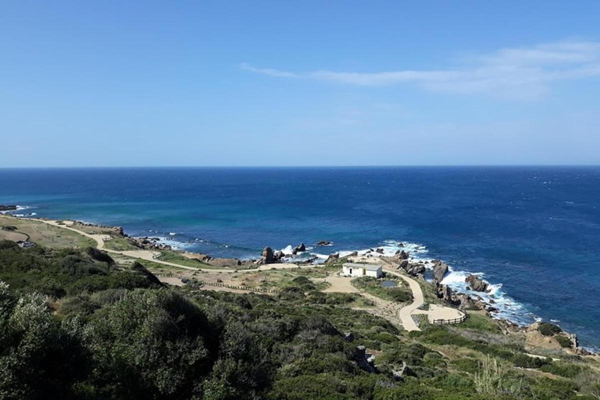 a view of a hill with the ocean in the background