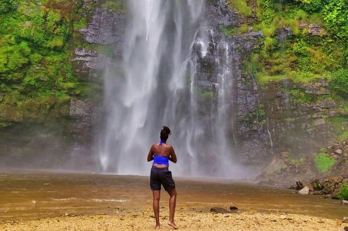 seorang wanita berdiri di hadapan air terjun