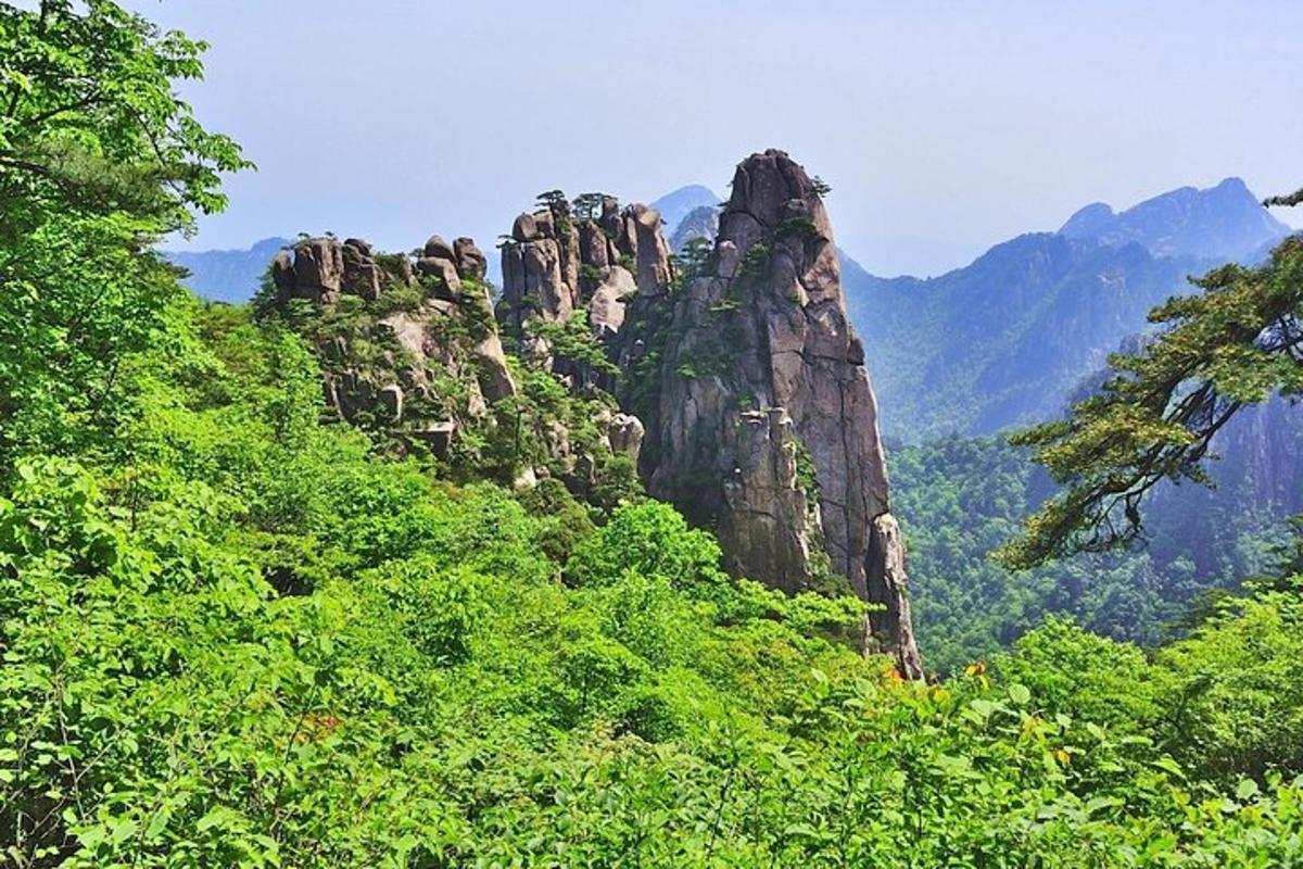森の真ん中にある岩山
