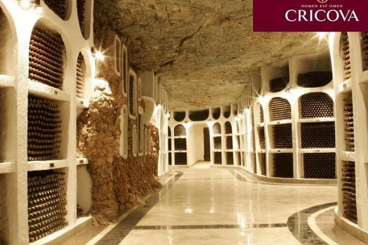 an empty wine cellar with a bunch of wine bottles