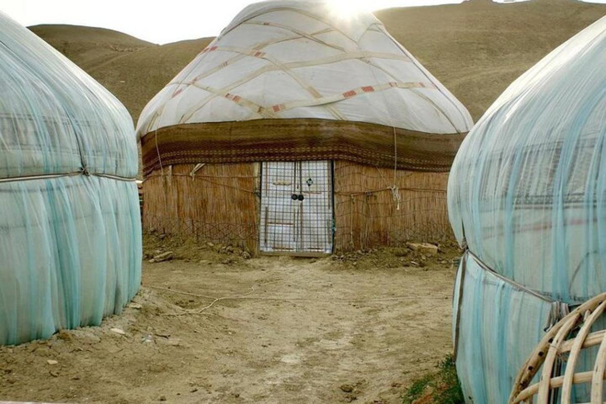 a couple of domes in a field with a building