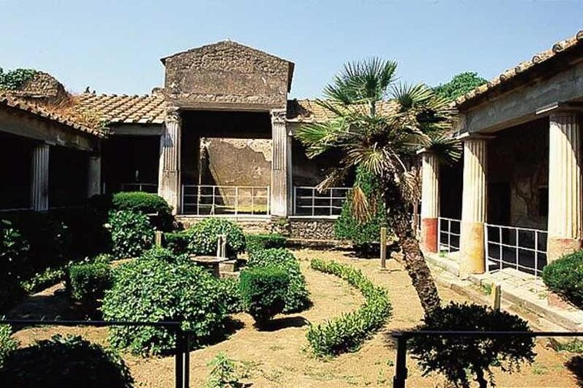 un cortile con una palma e un edificio