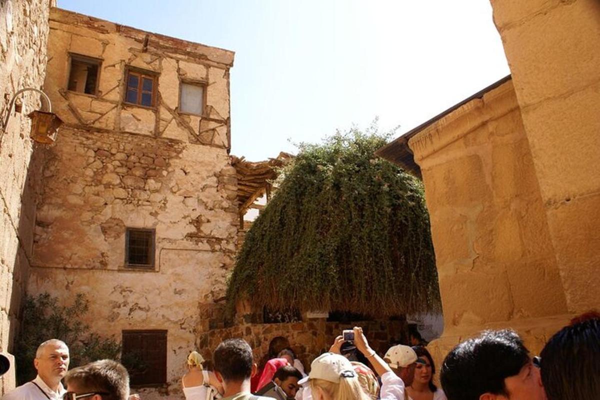 Fotografia atrakcie č. 3