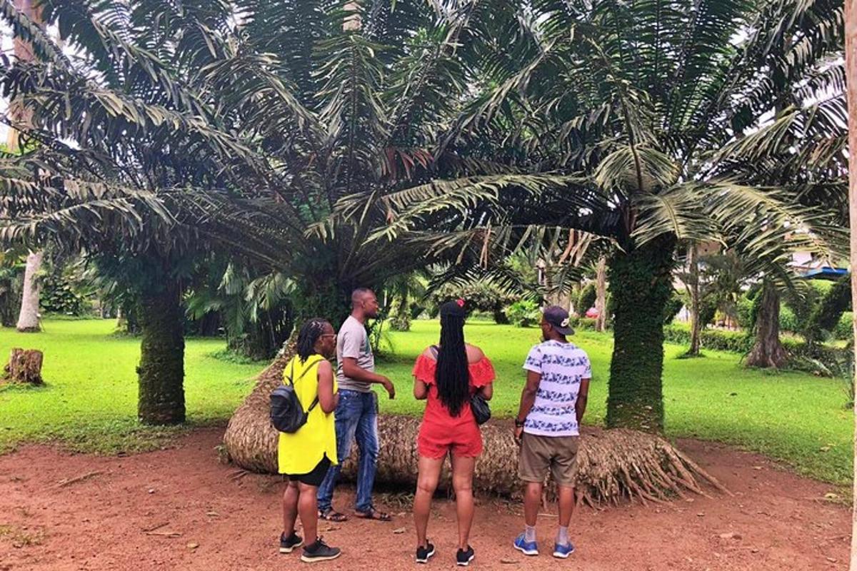 sekumpulan orang berdiri di bawah pokok palma