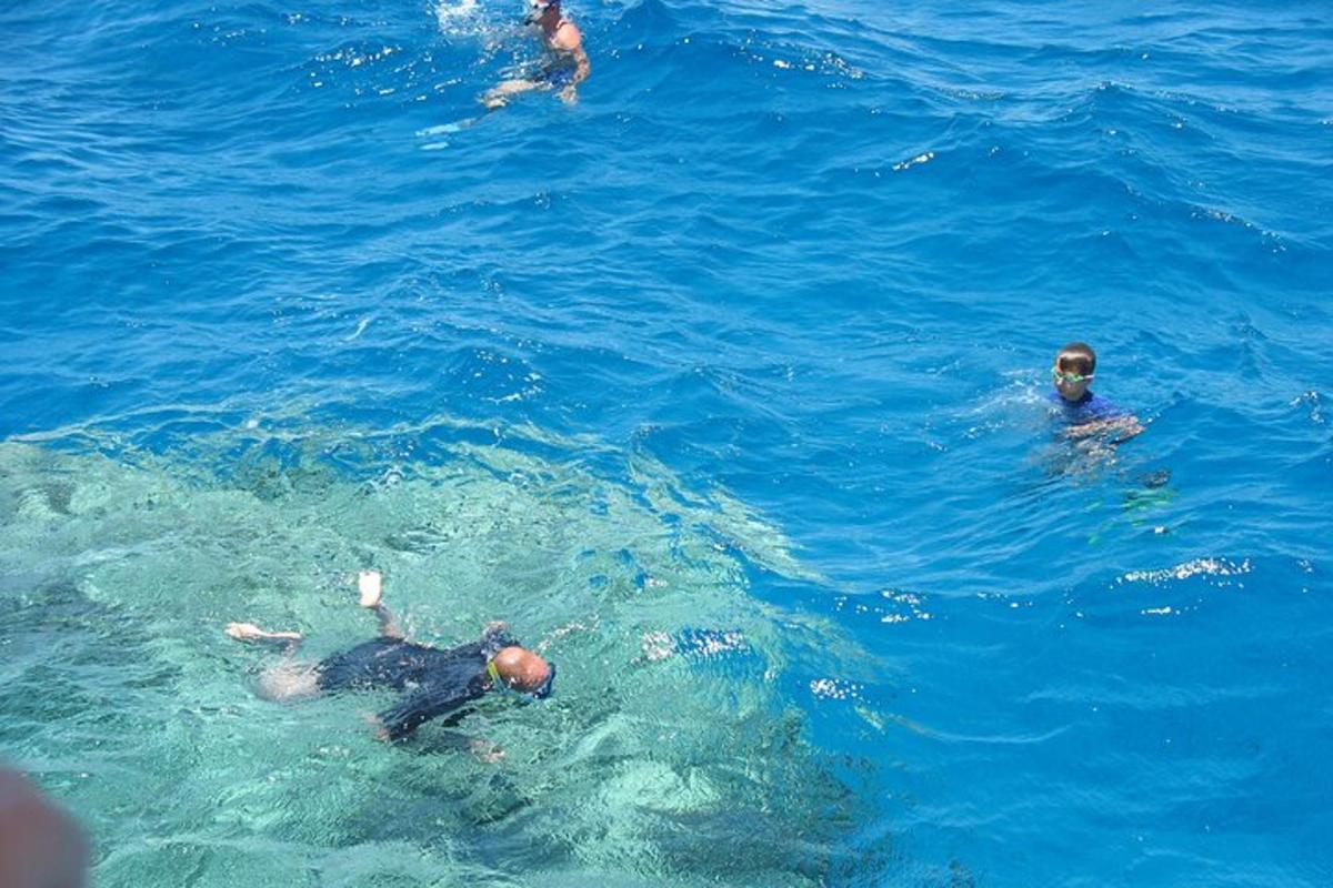 isang grupo ng mga taong lumalangoy sa tubig